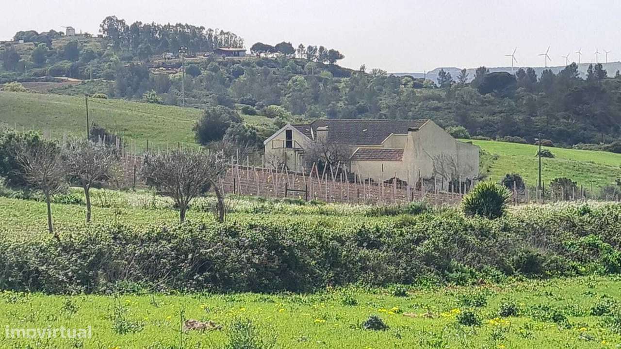 Quintinha a 10 minutos de Arruda dos Vinhos - Grande imagem: 4/22