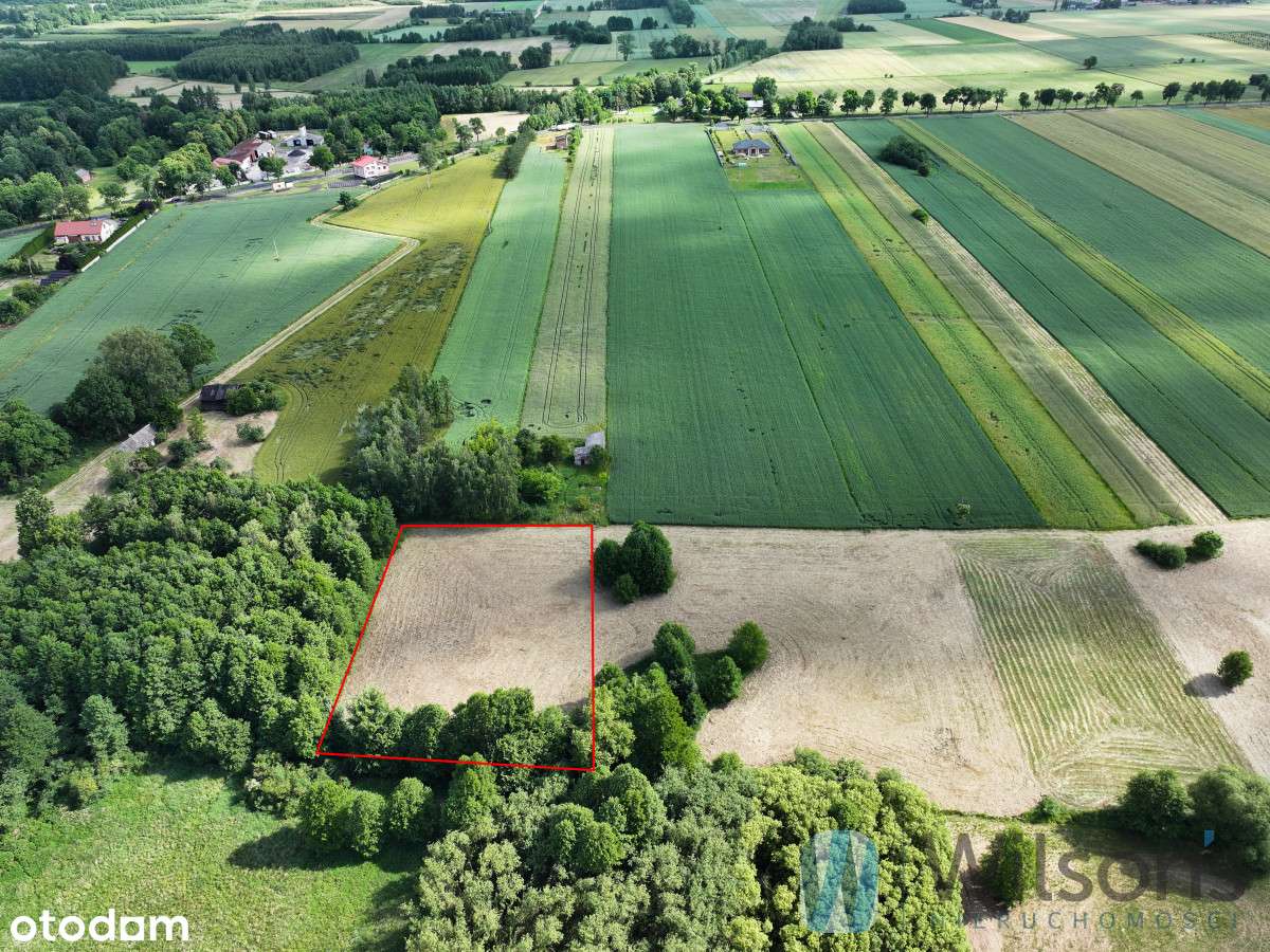 Działka inwestycja 1,7 ha ; dom w stanie surowym - Pełny obrazek: 4/9