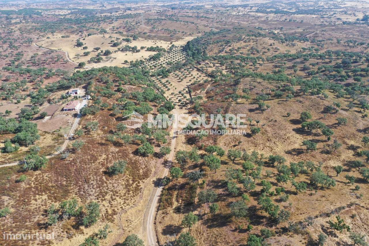 Monte do Chaparral — Ourique-22