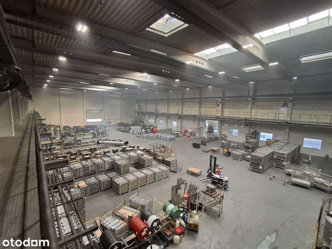 Zielona Góra - nieruchomość produkcyjna 4.57 ha - Pełny obrazek: 5/7