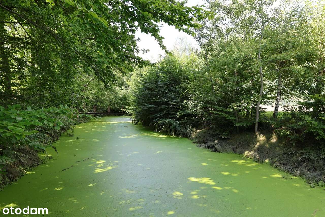 Unikatowa posiadłość pod Wadowicami-11