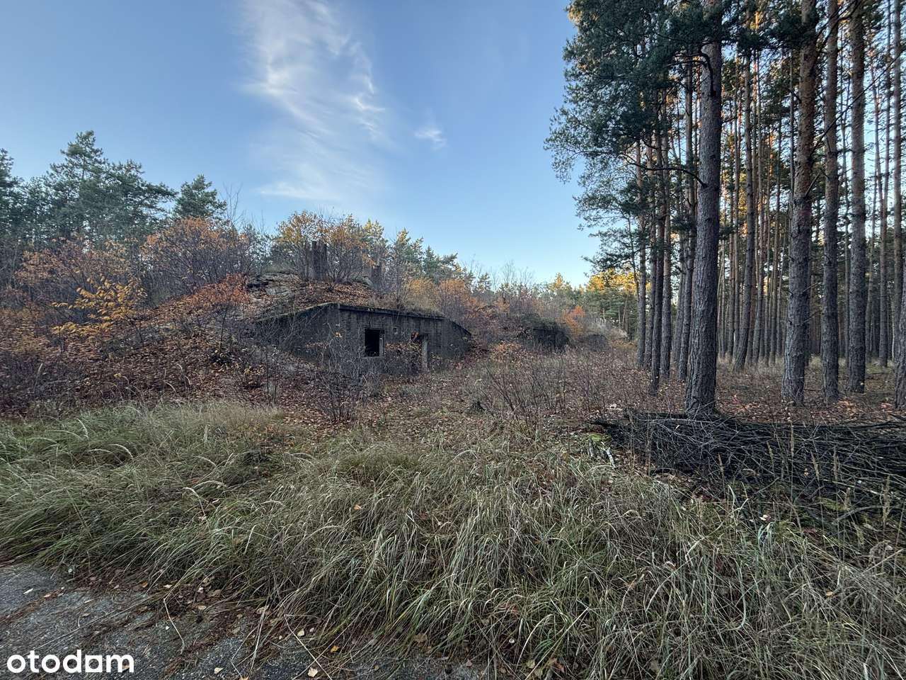 Działka inwestycyjna 1,666 ha - Brożek, Lubuskie-5