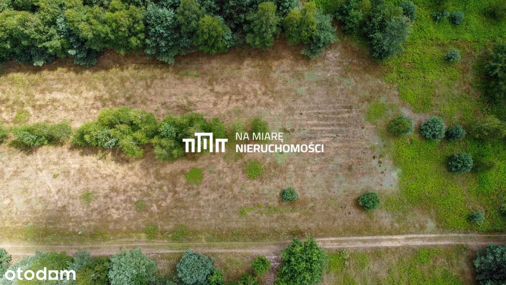 3 z 5 działek | Warunki zabudowy | Las - Pełny obrazek: 4/12