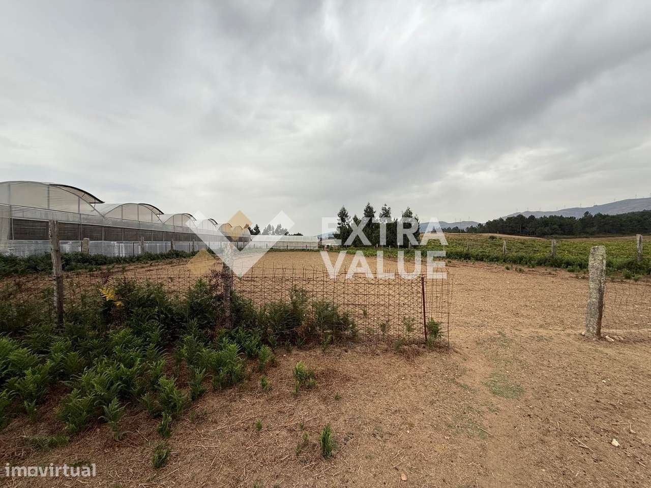 Quinta T6 Venda em Fontoura,Valença-17