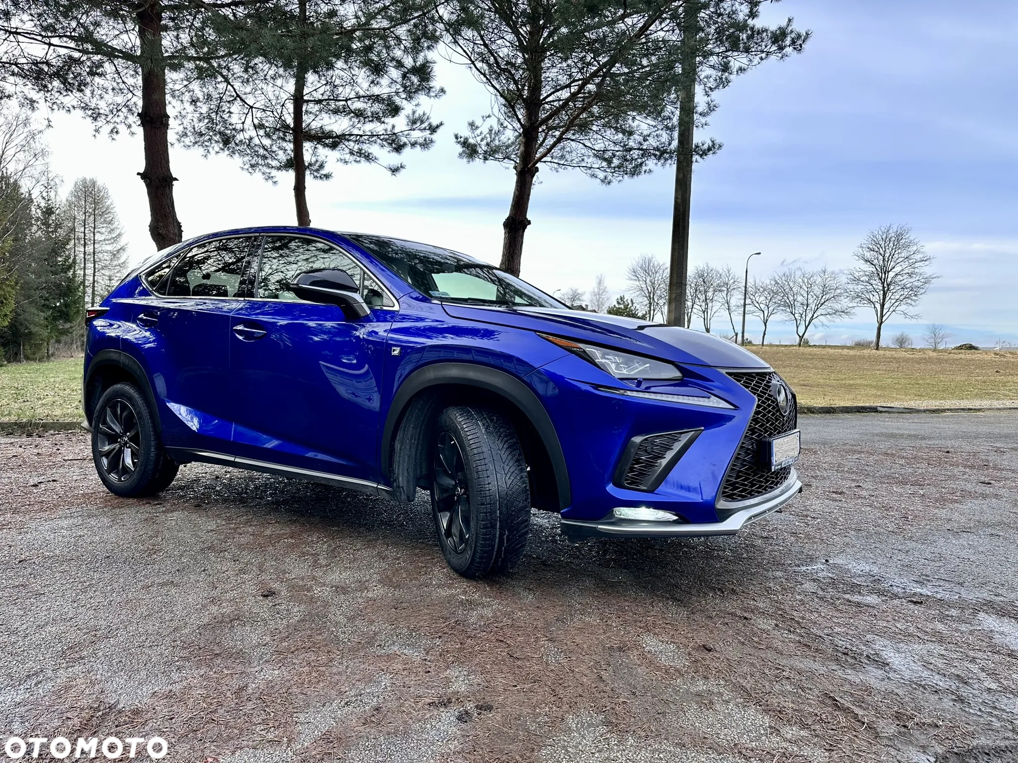 Lexus NX 300 F Sport AWD - 13