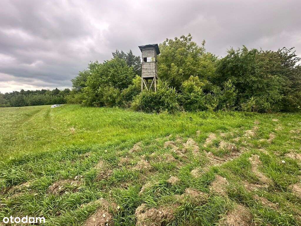 Podzamcze-działki w sąsiedztwie Zamku Ogrodzieniec-9