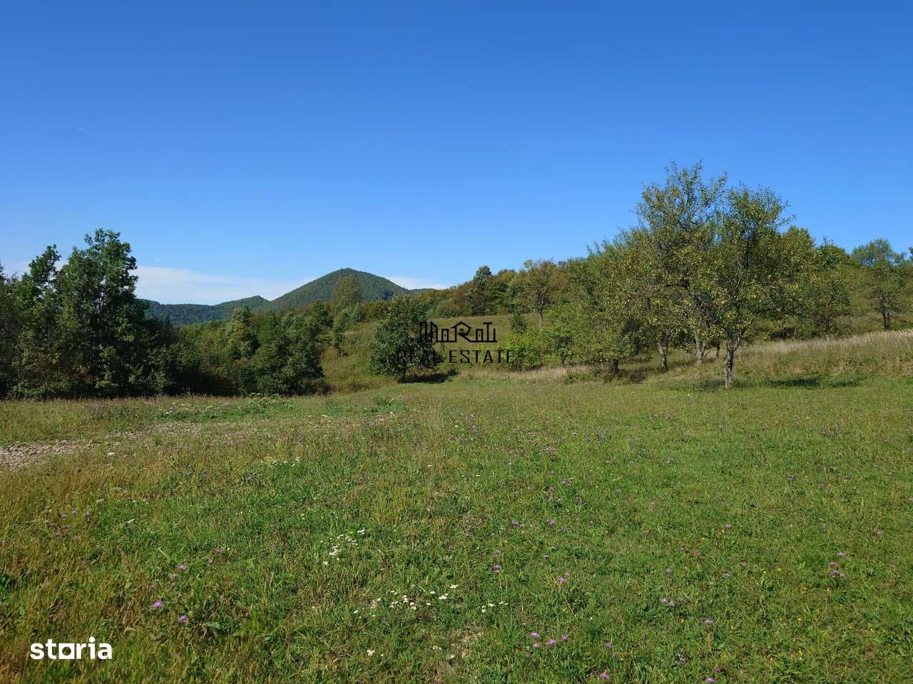 Teren intravilan 8757 mp cu potential turistic si acces direct la E79-3