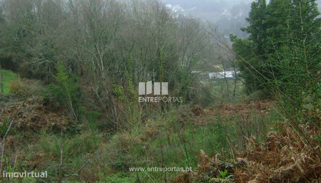 Venda Terreno, Avessadas, Marco de Canaveses - Grande imagem: 5/32