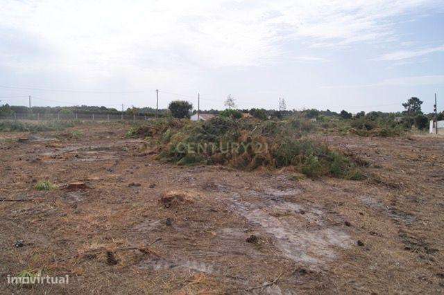 Terreno Rústico em Brescos - Vila Nova Sto. André - Grande imagem: 4/15