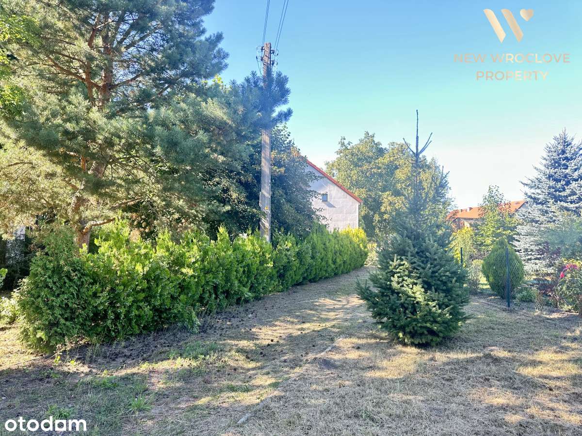 Atrakcyjna lokalizacja duża działka, do negocjacji-10