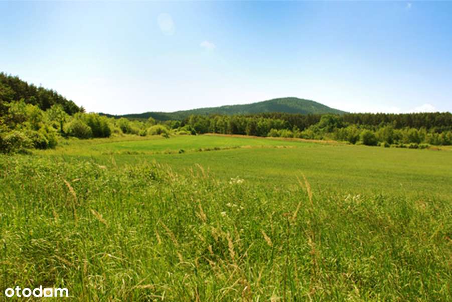 *Sulistrowice* Działka budowlana * Starodrzew * Media *-5