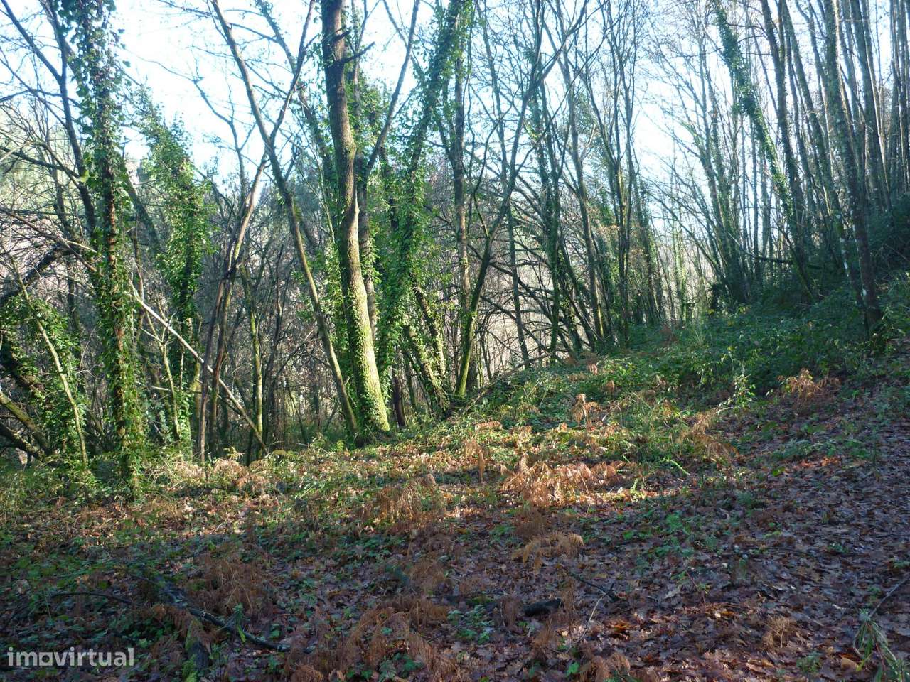 Terreno Junto a Nascente do Rio Ave!!!-7