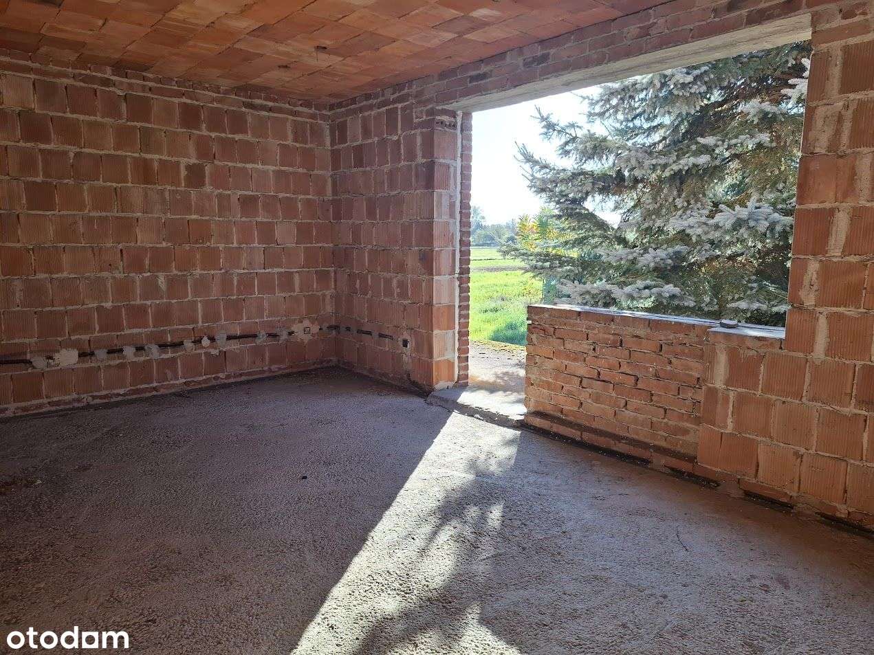 Dom 150 m2 Trzciana, gm. Czermin dz. 17ar - Pełny obrazek: 5/20