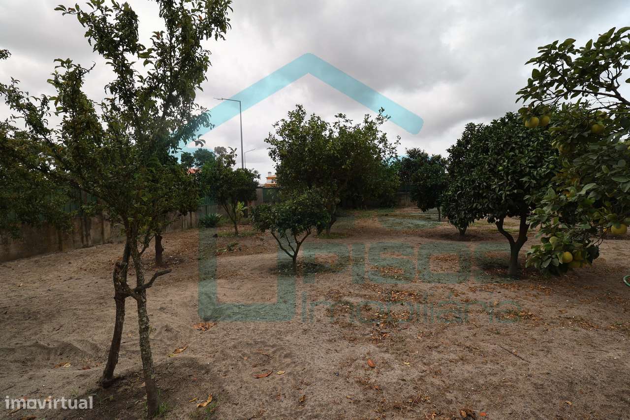 Moradia, Quinta do Conde, Sesimbra piscina, terreno c/arvores de fruto-56
