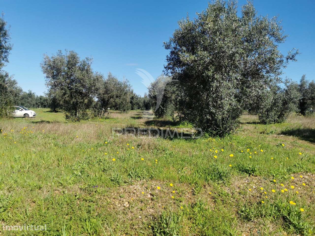 Lote Terreno - Grande imagem: 5/8