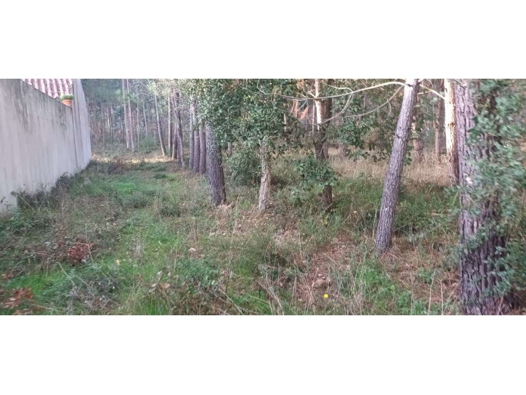 Terreno localizado em zona urbana com viabilidade para construção d... - Grande imagem: 2/18