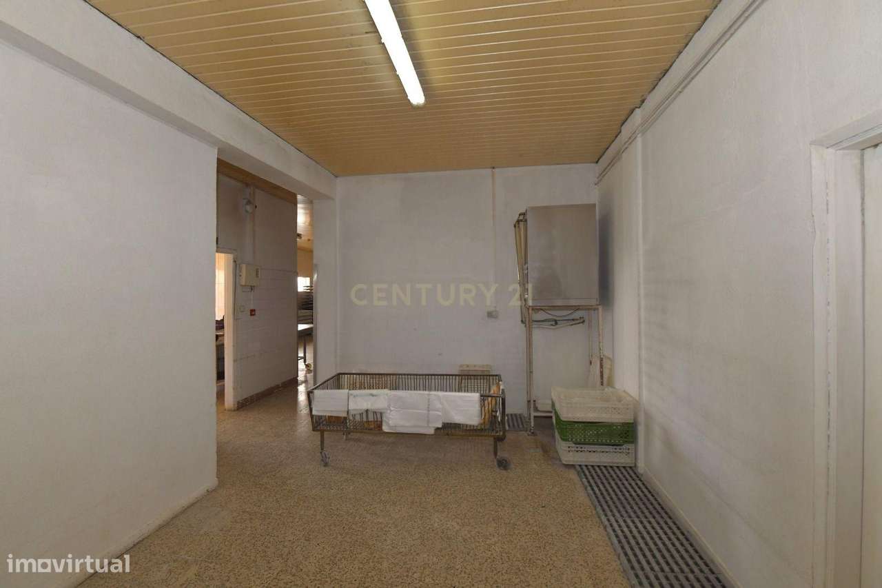 Panificadora Montenegro, em actividade. - Grande imagem: 5/17