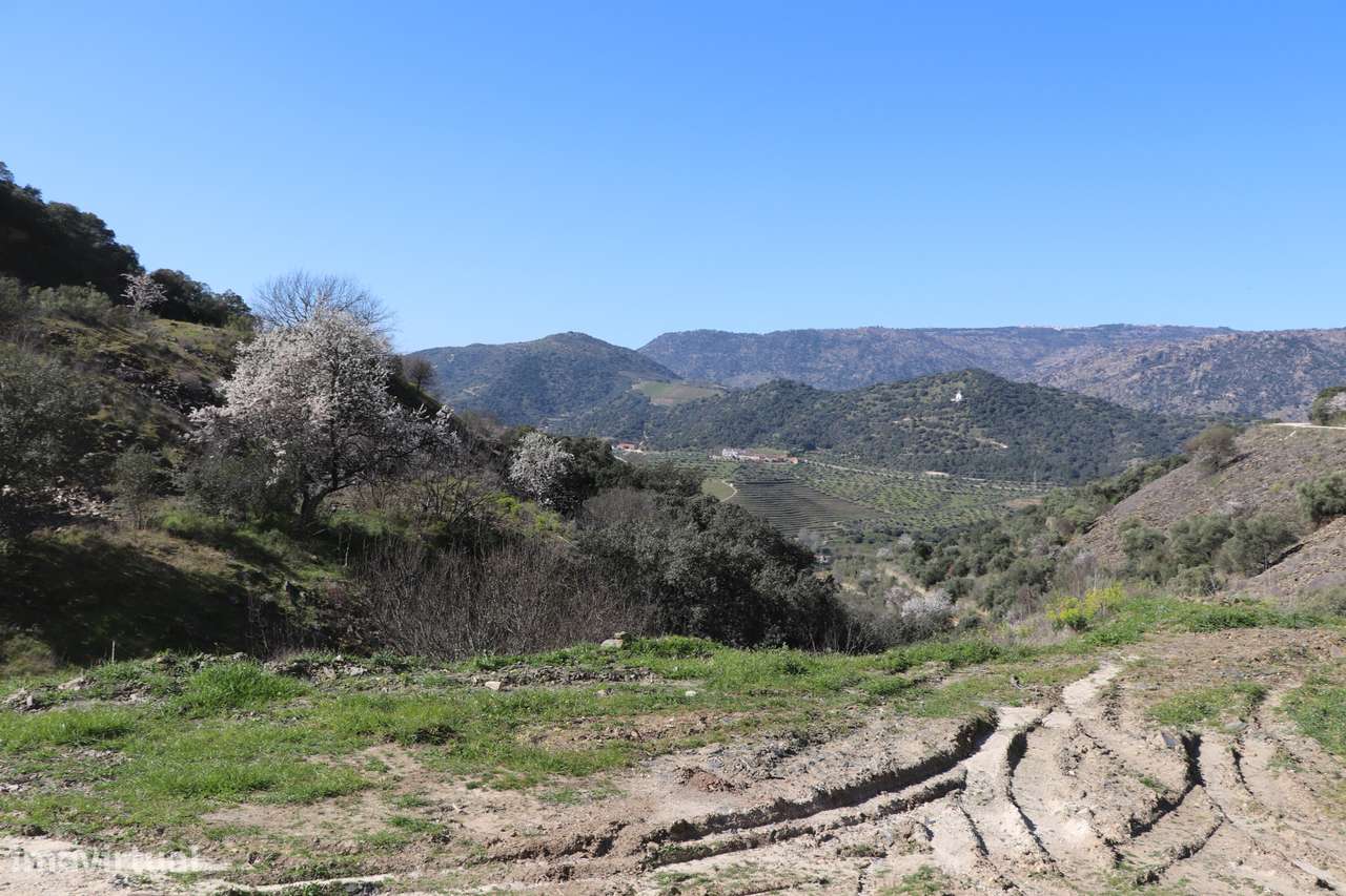 Quinta  Venda em Torre de Moncorvo,Torre de Moncorvo - Grande imagem: 5/34