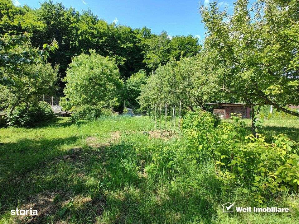 Oaza ta de liniste si verdeata, teren Faget cu parau in curte - Imagine principală: 2/6