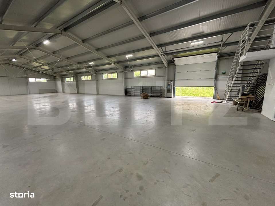 Hale de inchiriat - Imagine principală: 1/6