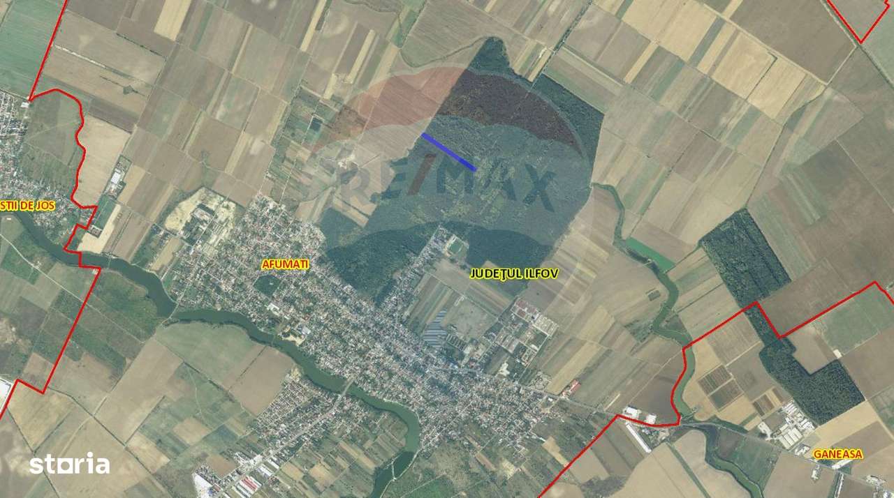 Teren 10,000mp Afumati | Padure | Soseaua Petrachioaia - Imagine principală: 2/6