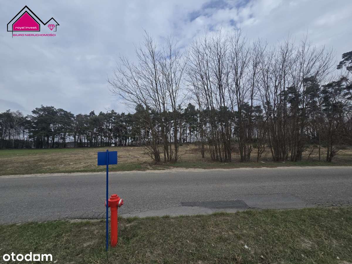 Działka z własnym lasem blisko centrum Konina-9