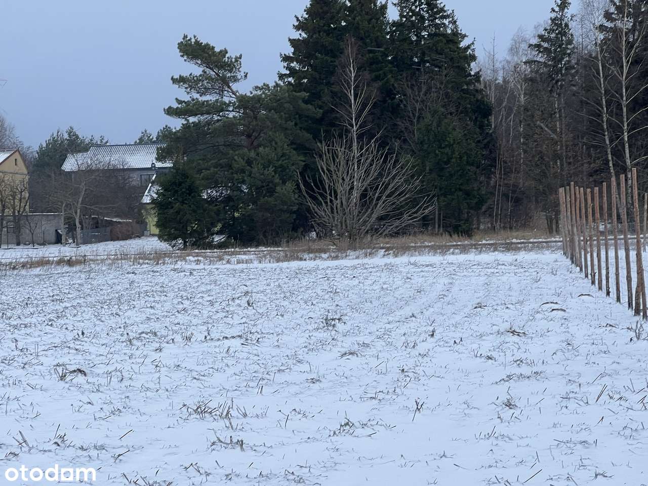 Działka budowlana - świetna lokalizacja. - Pełny obrazek: 4/4