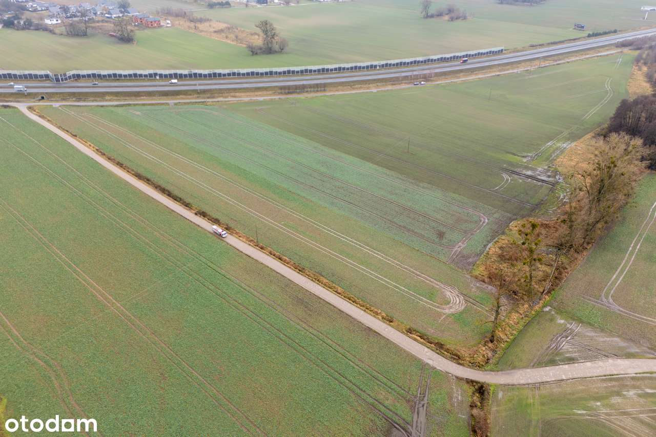 Duża działka inwestycyjna w Kiekrzu-5