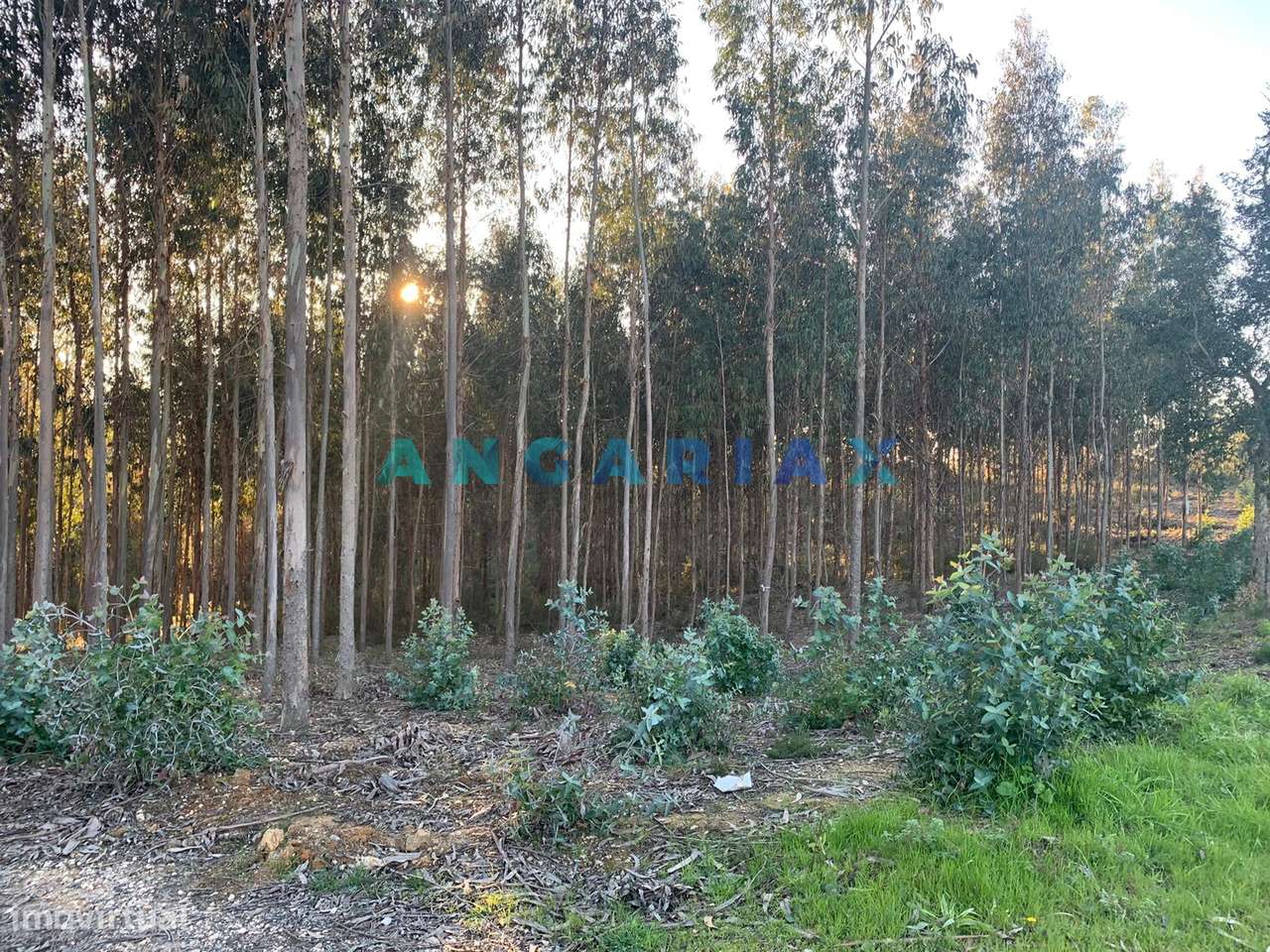 ANG109 - Terreno para Construção para Venda em Arrabal - Grande imagem: 3/19