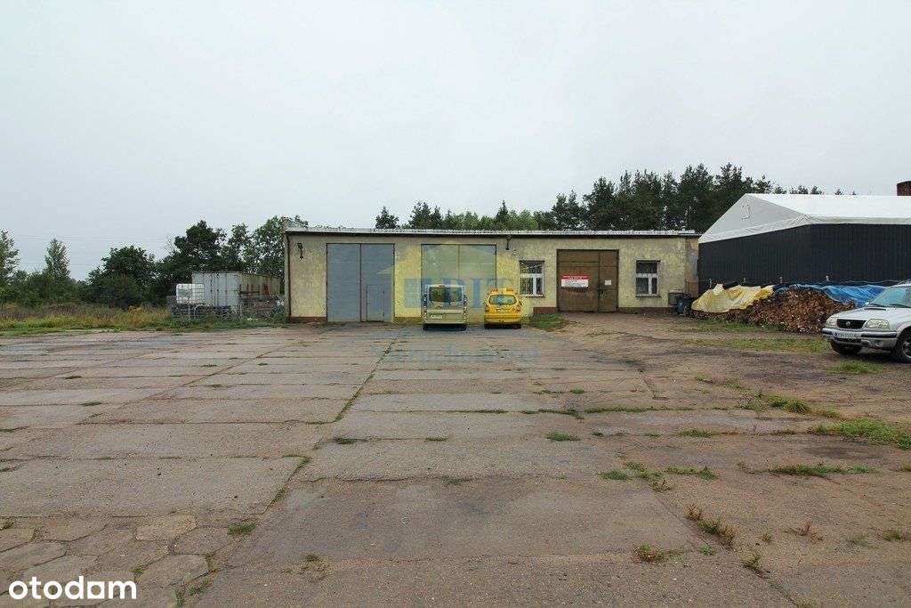 Trzy hale koło Czaplinka, działka 5864 m2 - Pełny obrazek: 5/20