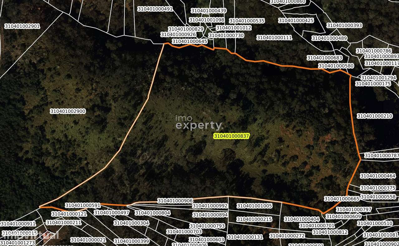 Terreno rústico com 65.600m² em Água de Pena, Madeira - Grande imagem: 5/6