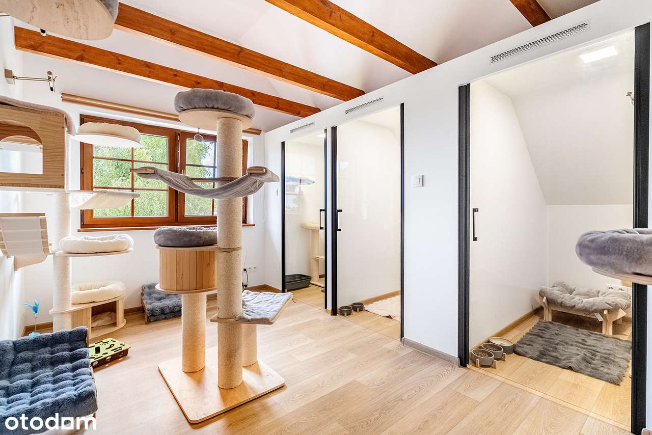 Wyjątkowy dom z duszą | 4038 m² działki | Stajnia i piękny ogród-14