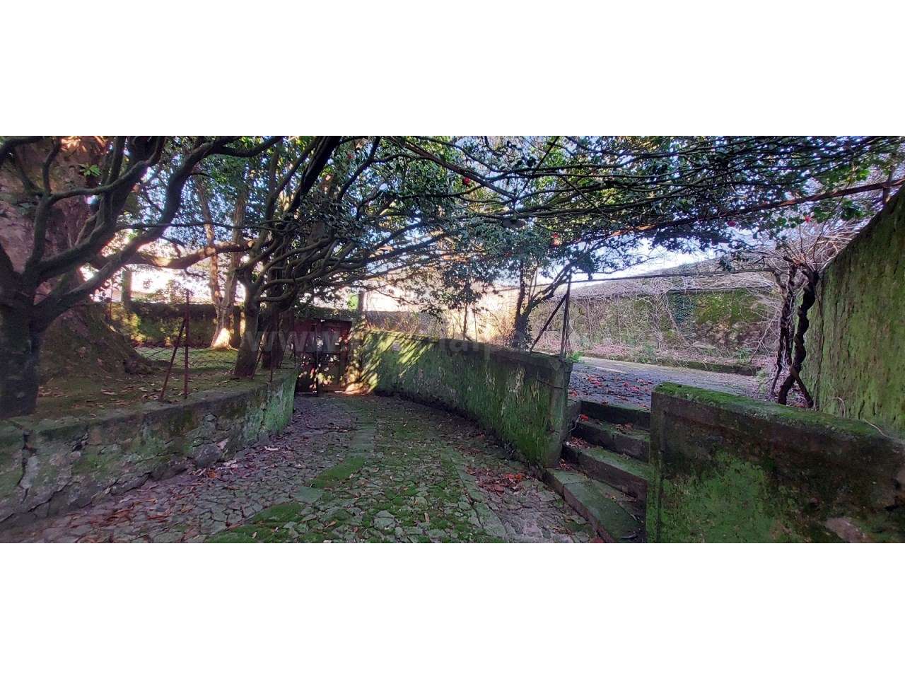 Quinta do inicio do séc. XX, Vila do Conde - Grande imagem: 4/34