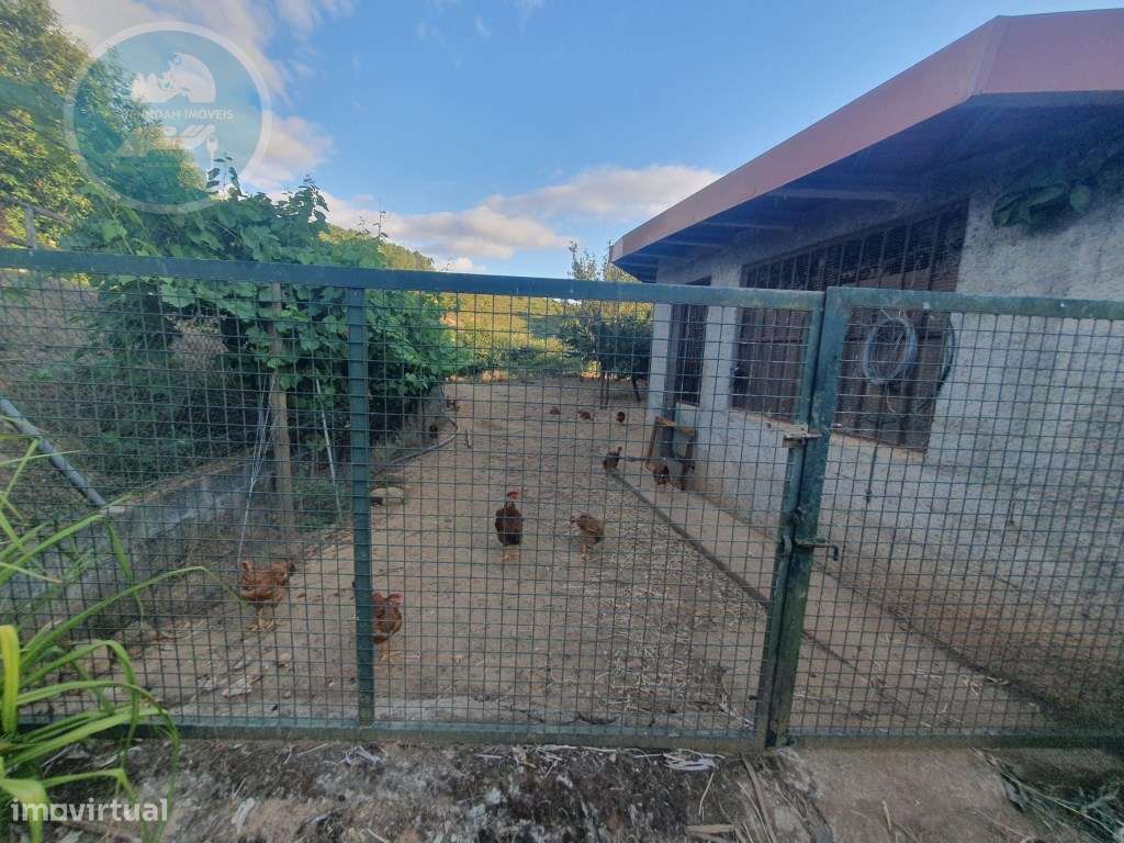 Quintinha à venda- Arco de Baúlhe-28