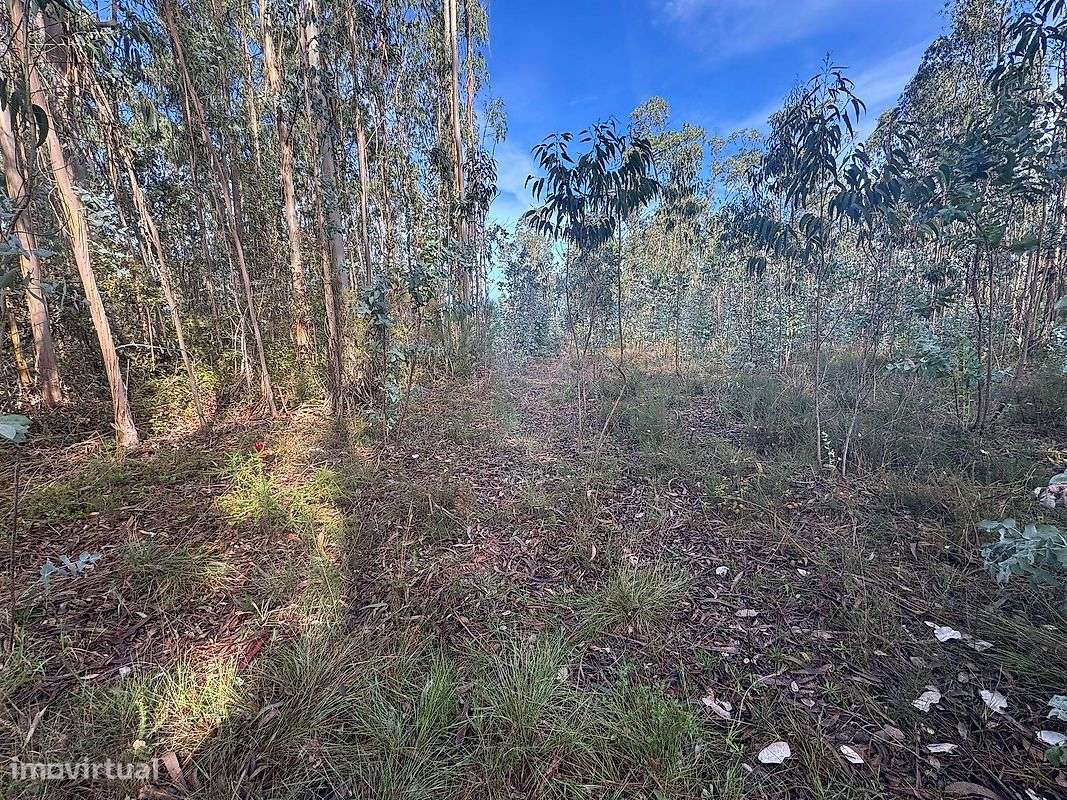 Terreno  para venda - Grande imagem: 4/5