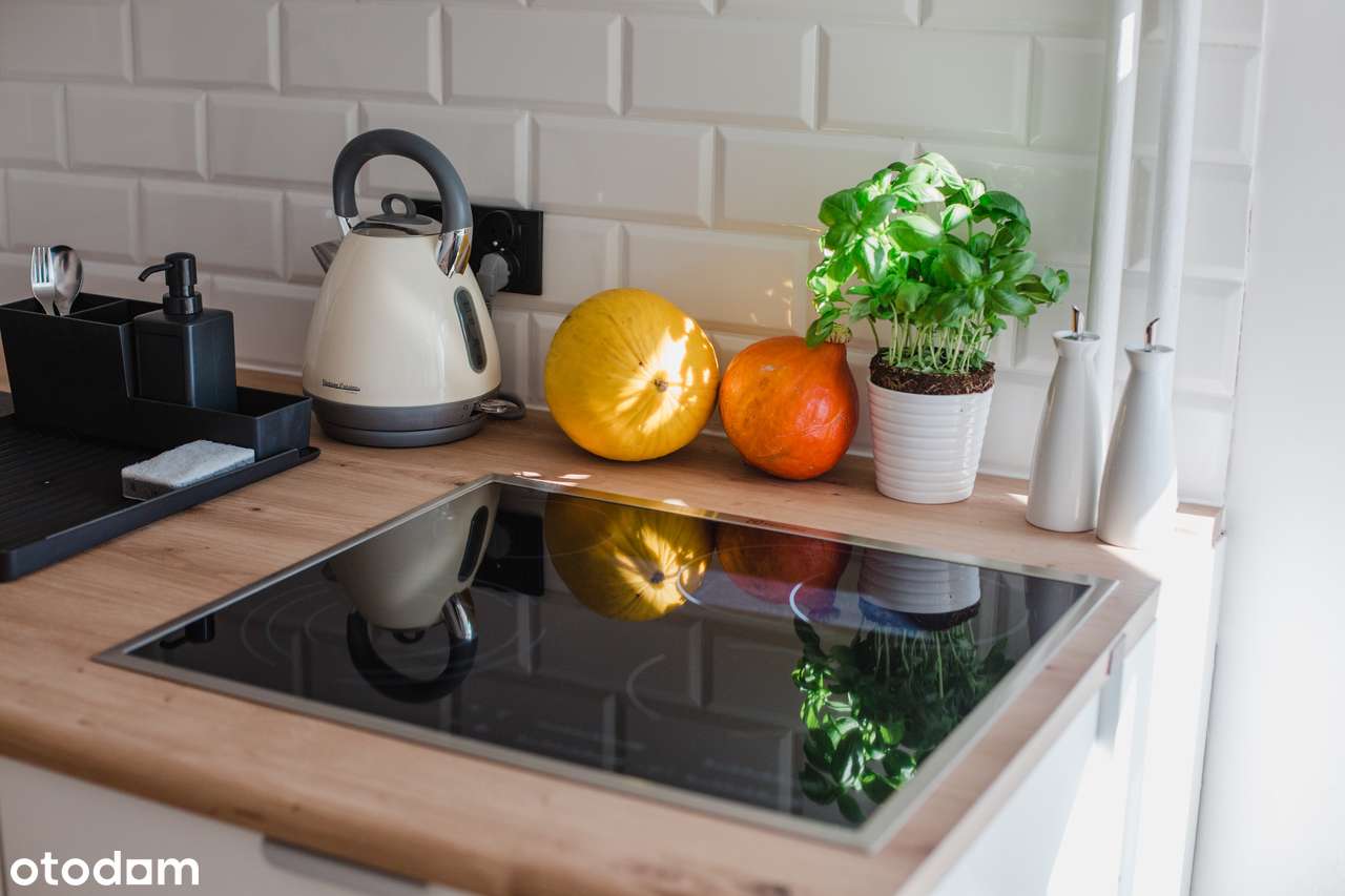 ul. św. Wincentego | centrum | ładny pokój | łazienka z WC + osobne WC - Pełny obrazek: 4/14