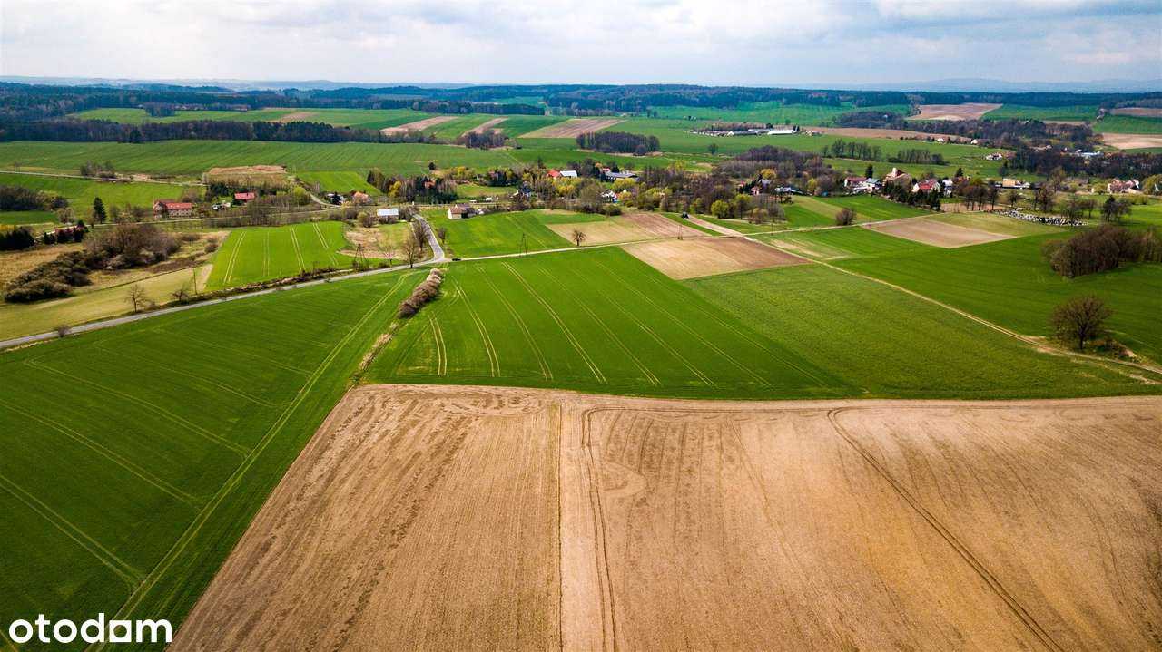 3 HA zabudowa mieszkaniowa | Jaszów | NOWA CENA - Pełny obrazek: 4/10