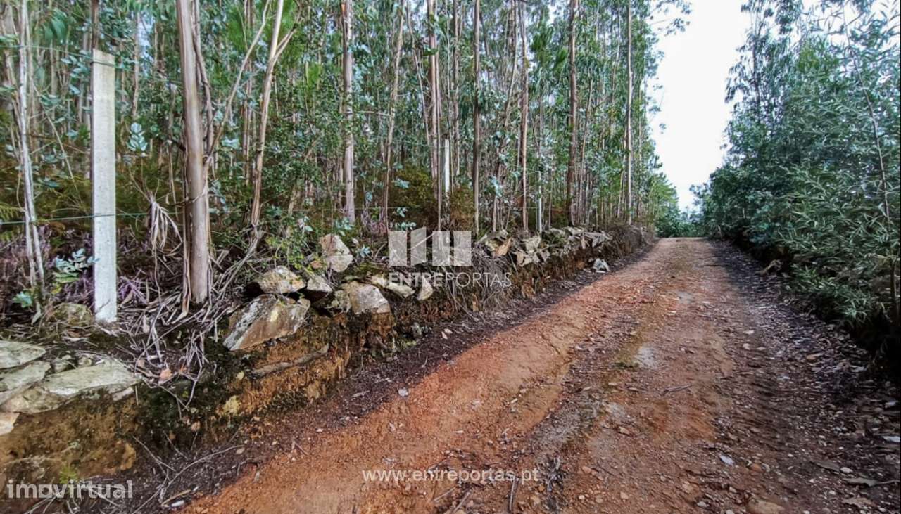 Venda de Terreno florestal, Ferreiró, Vila do Conde - Grande imagem: 2/13