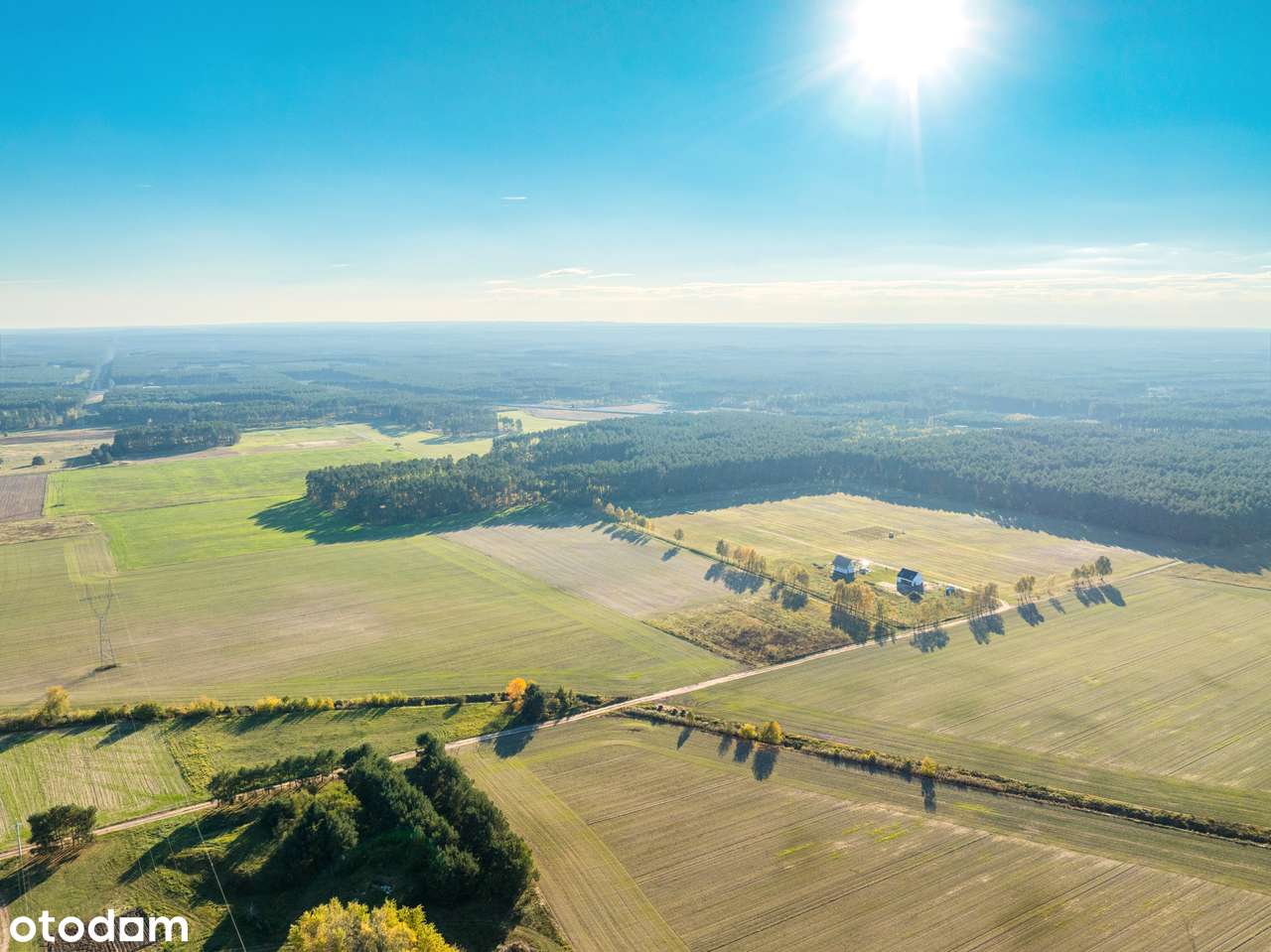 Tam, gdzie brzozy i las tworzą domowy klimat -  Brzozowe Zacisze - Pełny obrazek: 5/20