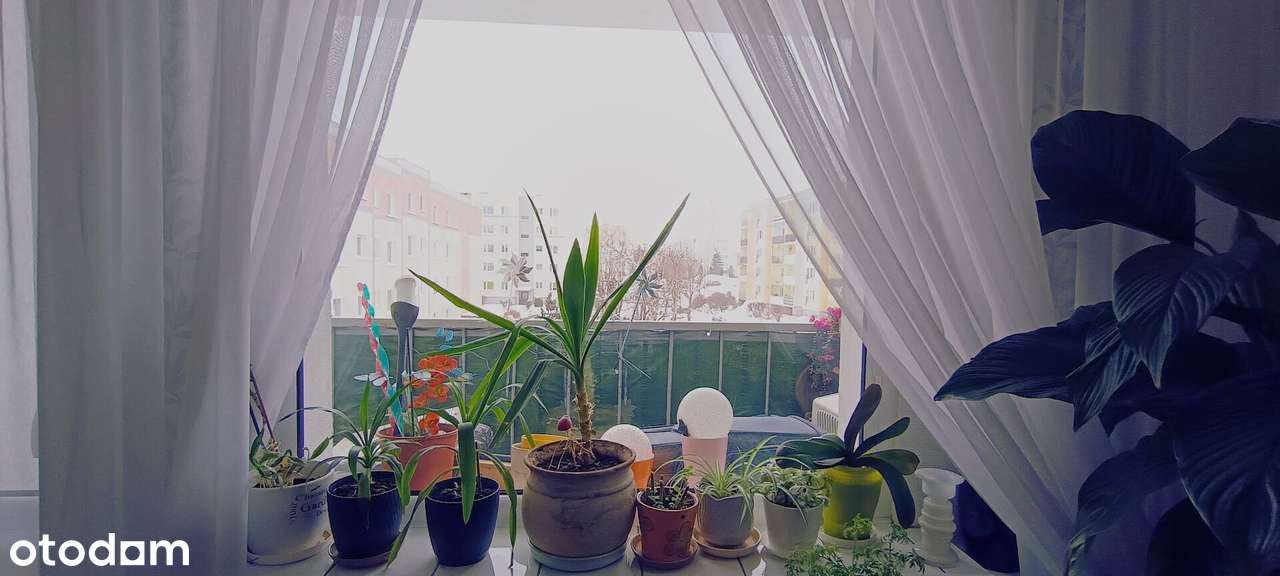 Jasne mieszkanie 4-pokojowe w centrum Malborka! Osiedle Południe.-17