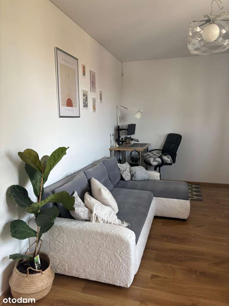 Mieszkanie 2 pokojowe Pruszcz Gdański os. Kasprowicza - Pełny obrazek: 4/11