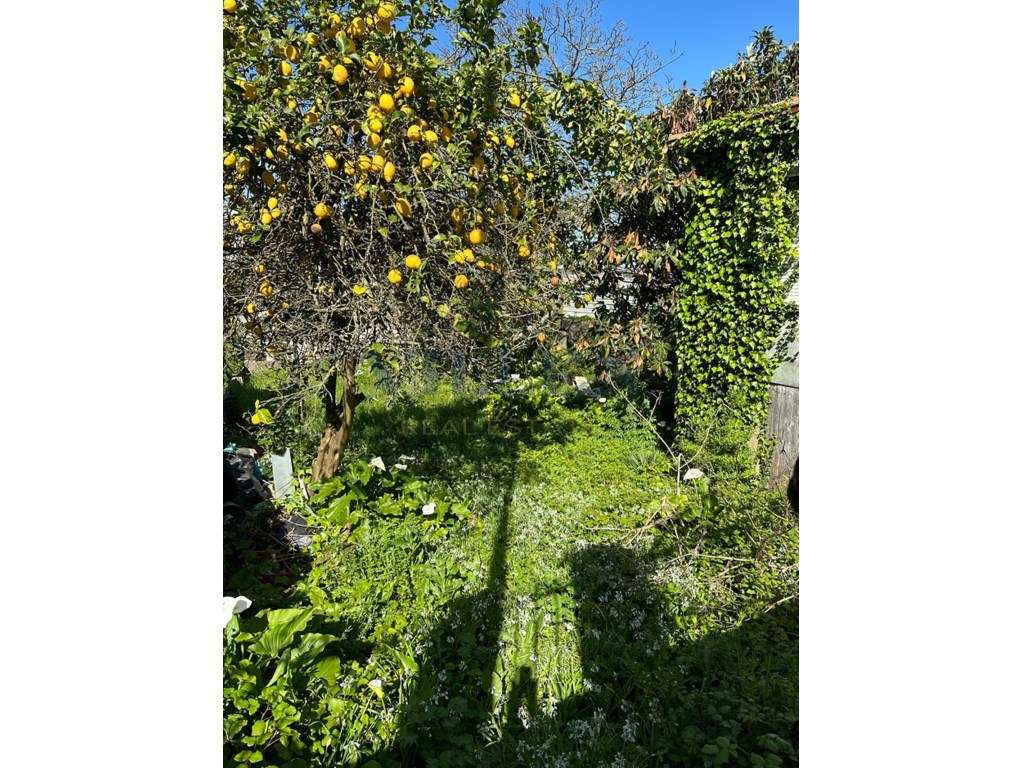 Moradias para recuperar em Ermesinde - Valongo - Grande imagem: 3/3