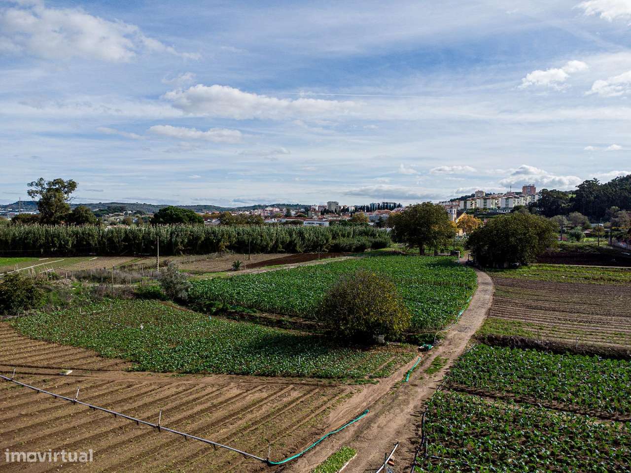 A Quinta da Repina, 18 660 m2 em cidade, no Barro em Loures-15