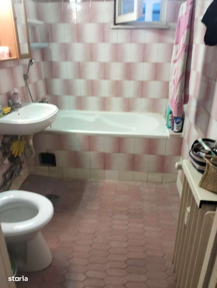 campia libertatii cu baba novac 3 minute de parc ior statuie cuza-7