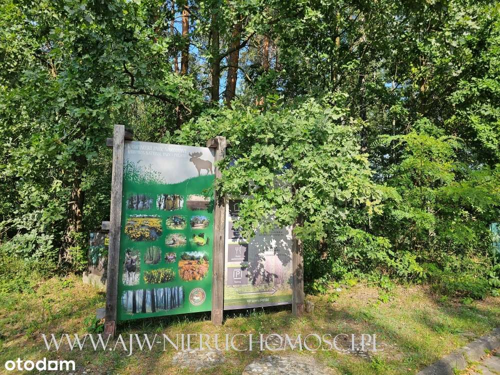 Działka budowlana Izabelin C pow. 1330 m2-5