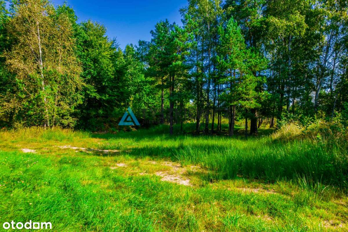 Urokliwa działka w centrum lasu ze stawem! - Pełny obrazek: 3/16