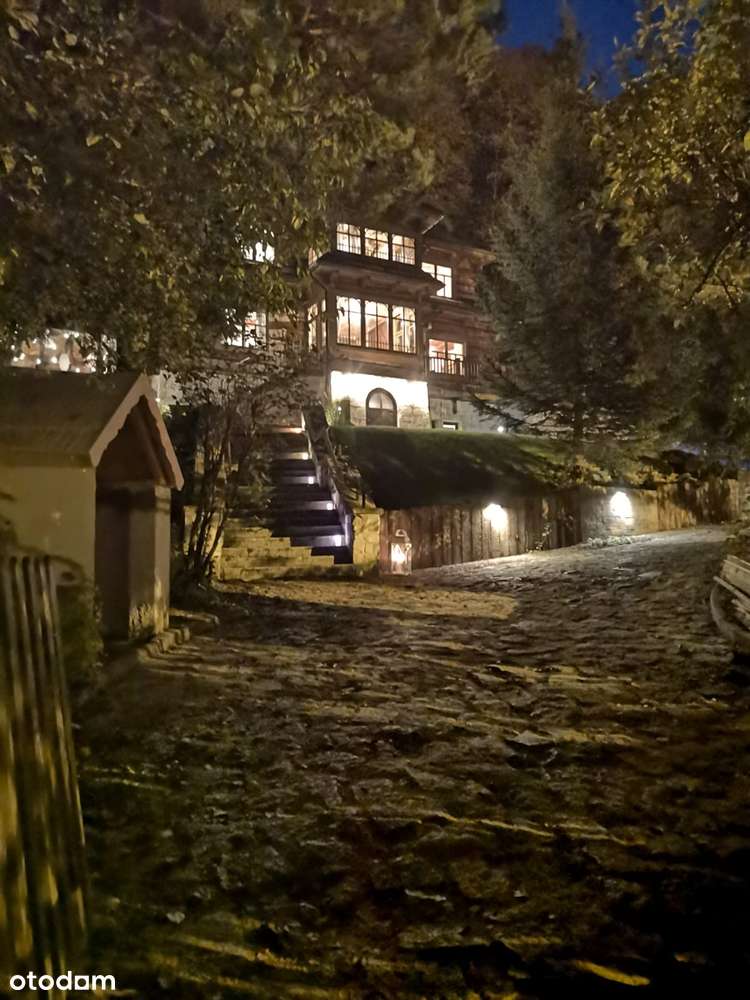 Dom drewniany z bali, duża przestrzeń, pod galerię sztuki + pensjonat - Pełny obrazek: 4/20