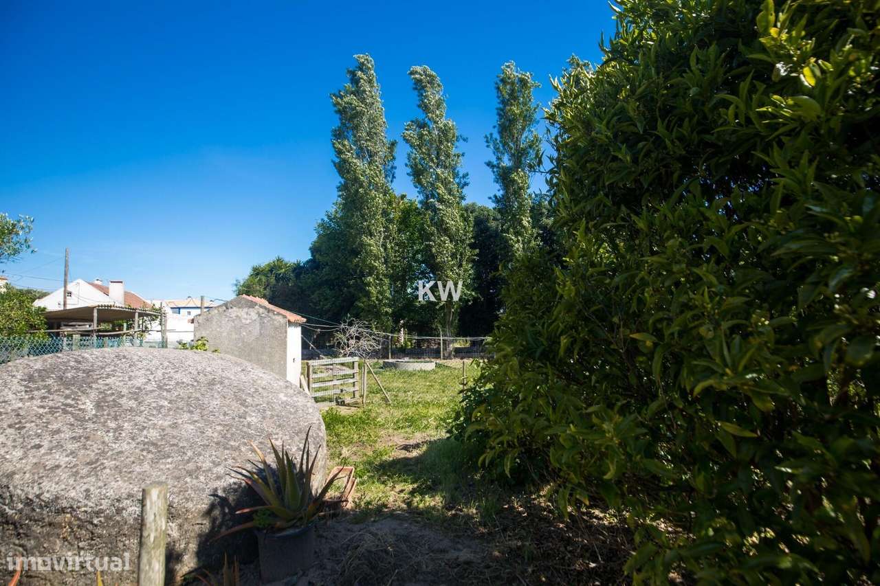 OPORTUNIDADE  - Viva entre o campo e o mar – Quinta com potencial a 15 - Grande imagem: 4/49