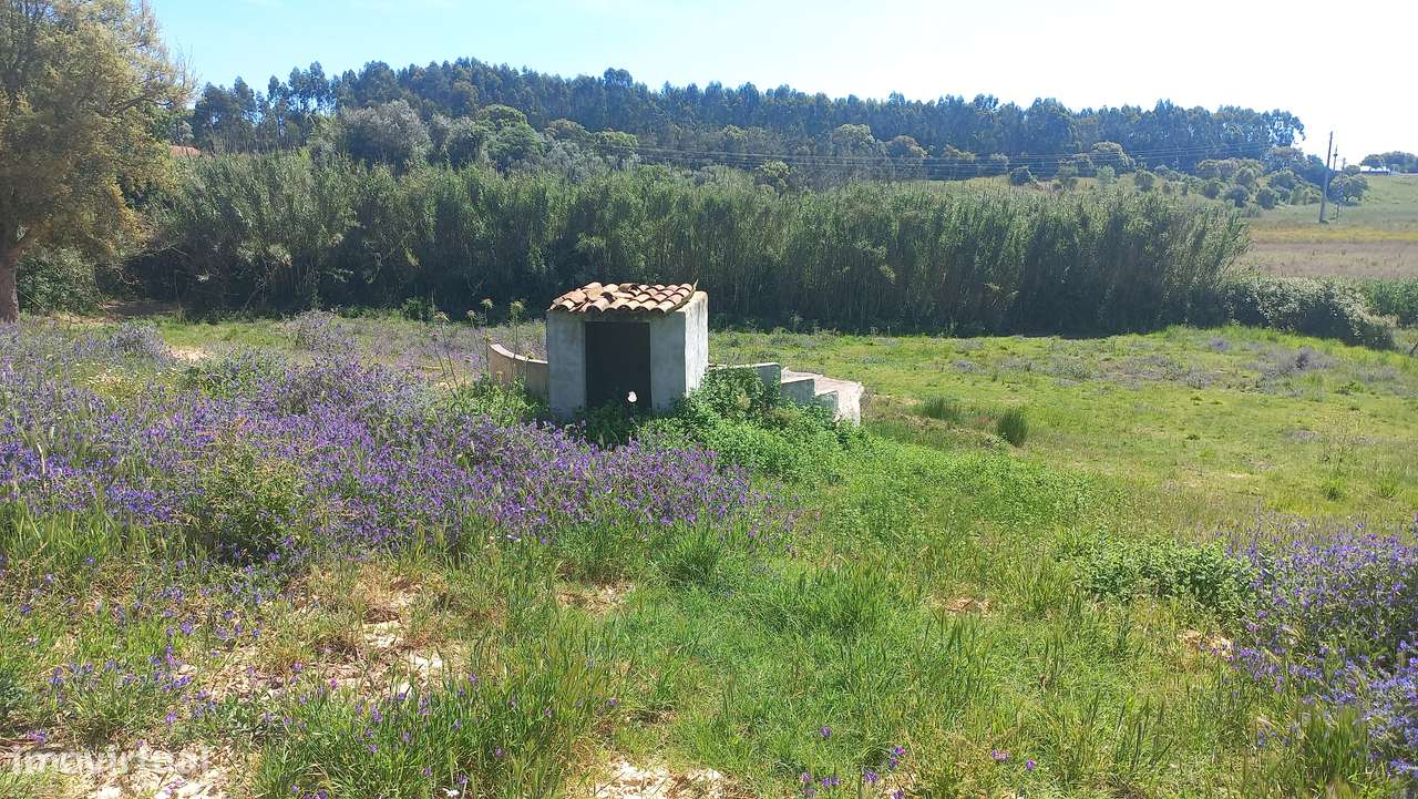Terreno Único com Construção Autorizada e Água Todo o Ano – Rio Maior - Grande imagem: 4/22