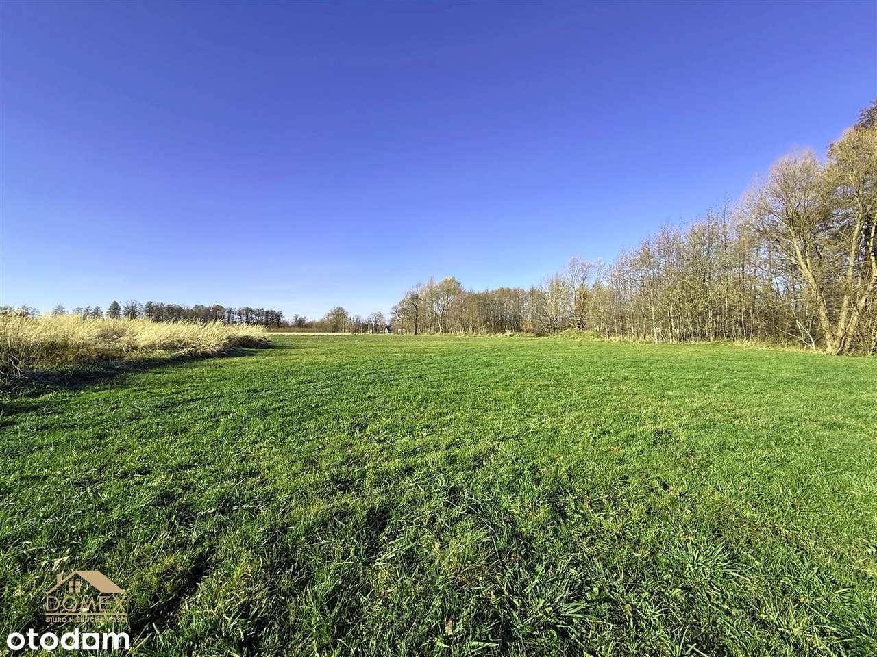 Natura i spokój tuż obok miasta - działka Jaworze - Pełny obrazek: 5/11